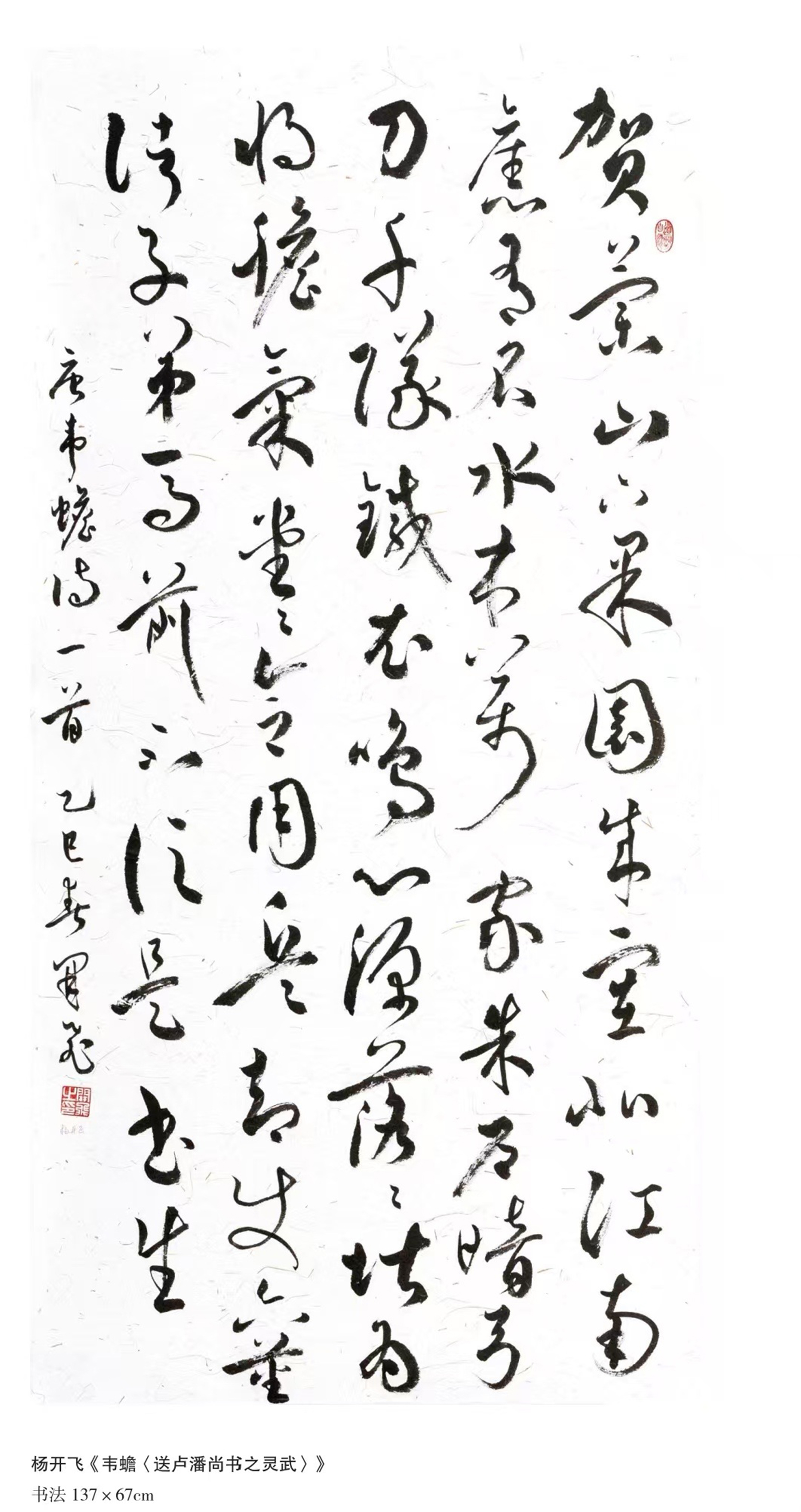 杨开飞.jpg